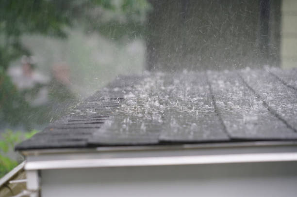 Best Storm Damage Roof Repair  in Ogdensburg, NJ